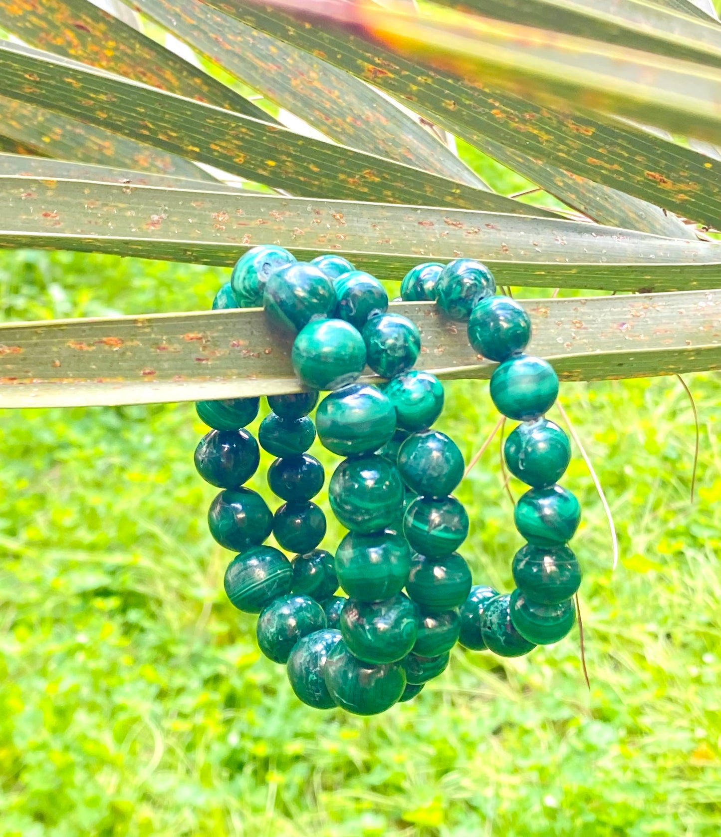 Malachite Stone of Transformation & Protection Bracelets