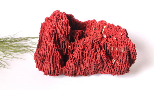 Stunning Natural Red Sponge Coral Decor Piece